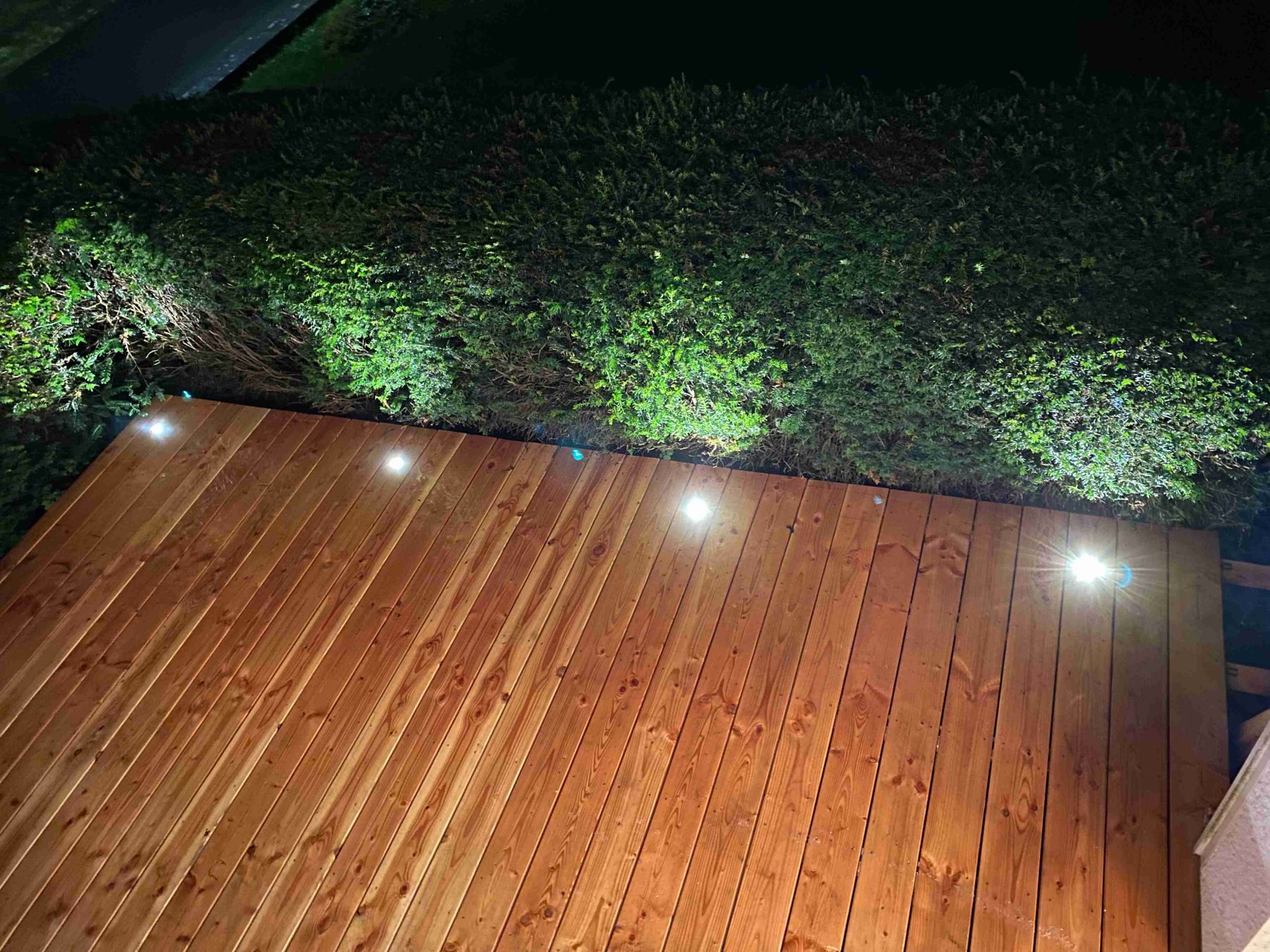 Terrassenbelag Douglasie